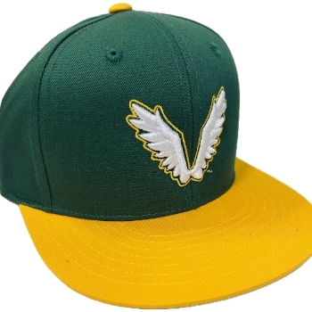 Solo Logo Outline Flatbill Snapback